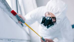 Best Real Estate Pest Inspections  in Claymont, DE